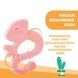 Прорезыватель для зубов Chicco "Игуана" 28110.10 фото 5