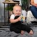 Брязкальце Baby Einstein "Grip & Spin Oball" 16765 фото 6