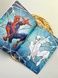 Цветные раскраски с героем Marvel Spider-Man RZ111 фото 3