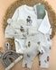 Комплект боді штани шапочка Disney Baby H&M бавовна 56см (1374-56) 1374-56 фото 1